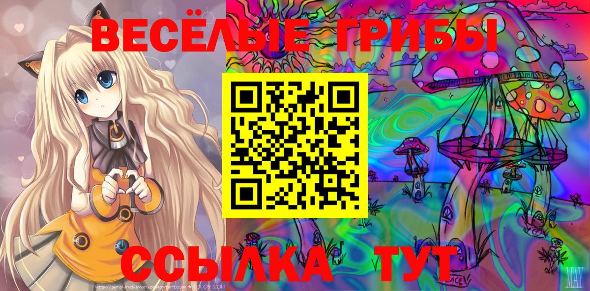 Псилоцибиновые грибы мицелий Петрозаводск
