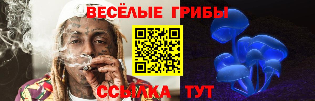 Псилоцибиновые грибы MAGIC MUSHROOMS  Вход с VPN  Петрозаводск 